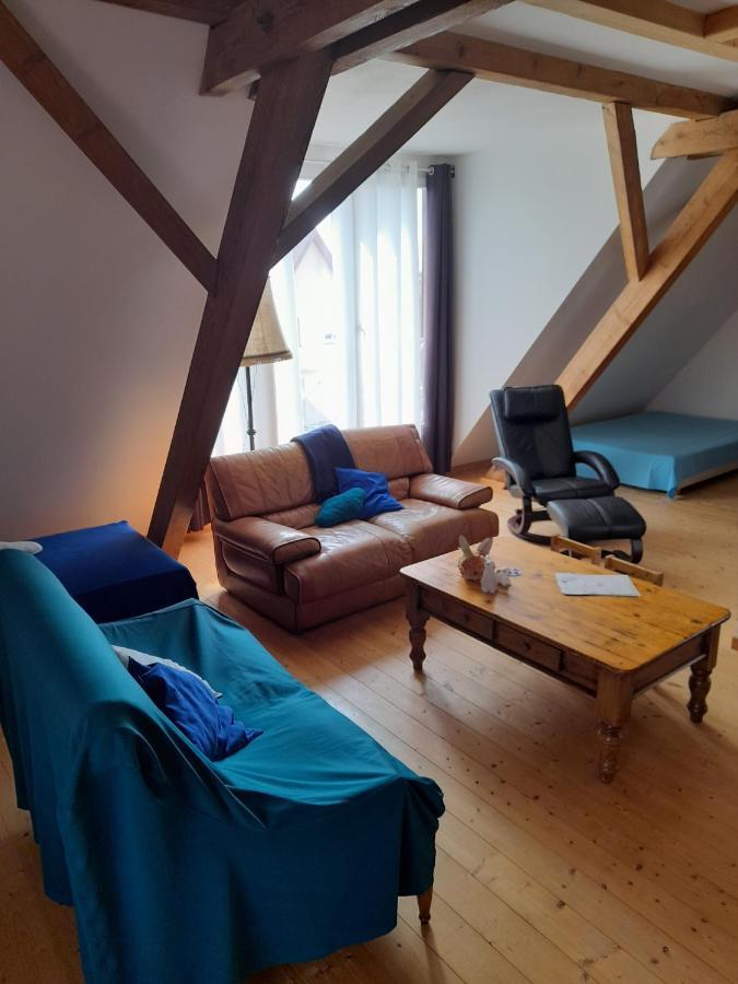 Apigite68, Proche Route Des Vins, Vosges, Colmar Et Non Loin D'Europa-Park! Остгайм Екстер'єр фото